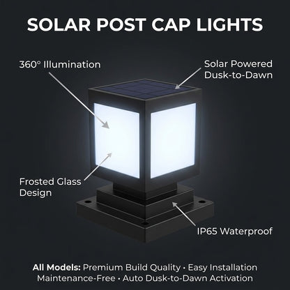 Solar Garden Feature Lights - Professional Uplighting