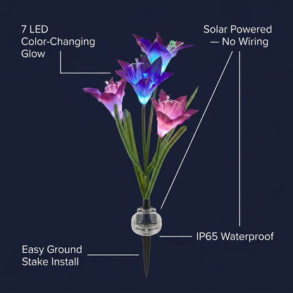 Outdoor Solar Lily Flower Light – Colorful Garden Decor, No Wiring